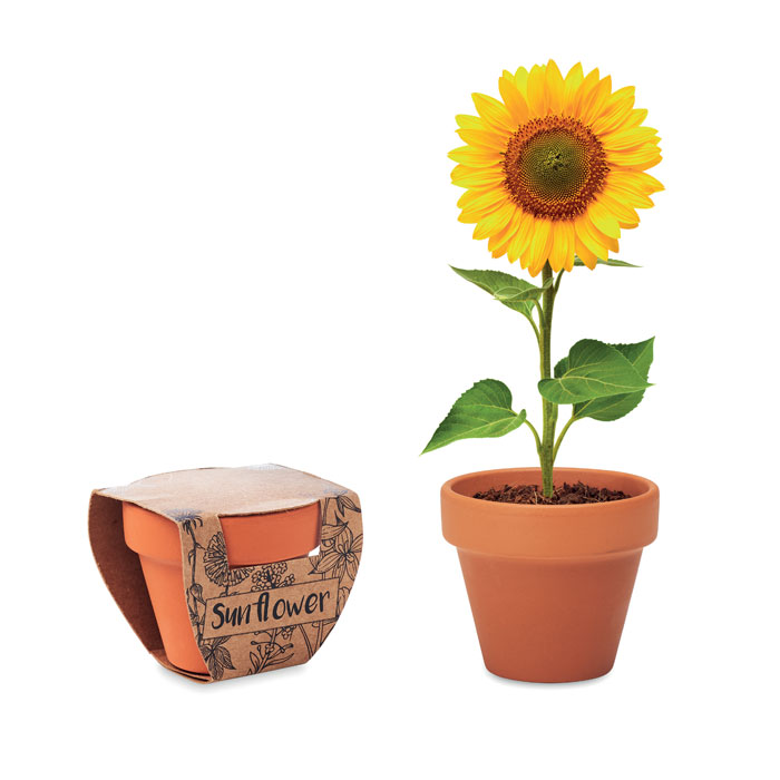 Terracotta Vase - Sunflower